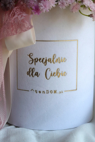 Gipsówka Ballerina, flowerbox kwiatowy welurowy