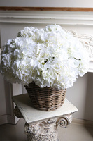 New Provance 2, bogaty kosz hortensji