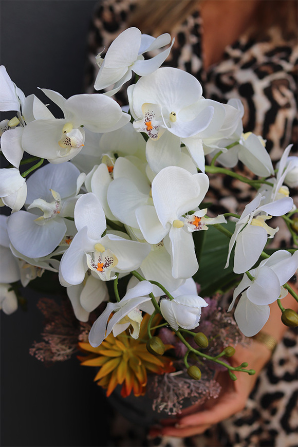 Jeanne Suculenti, storczyk w srebrnej doniczce