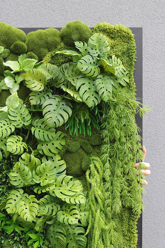 Black Frame Brazilea, czarna jednostronna rama sukulenty