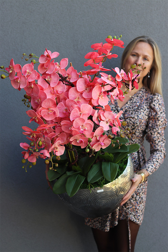 Coralla, różowy storczyk w metalowej osłonce