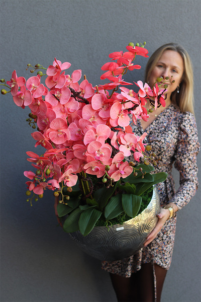 Coralla, różowy storczyk w metalowej osłonce