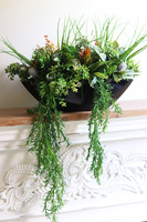 Green Terrance Laos, kompozycja sukulenty w czarnej donicy