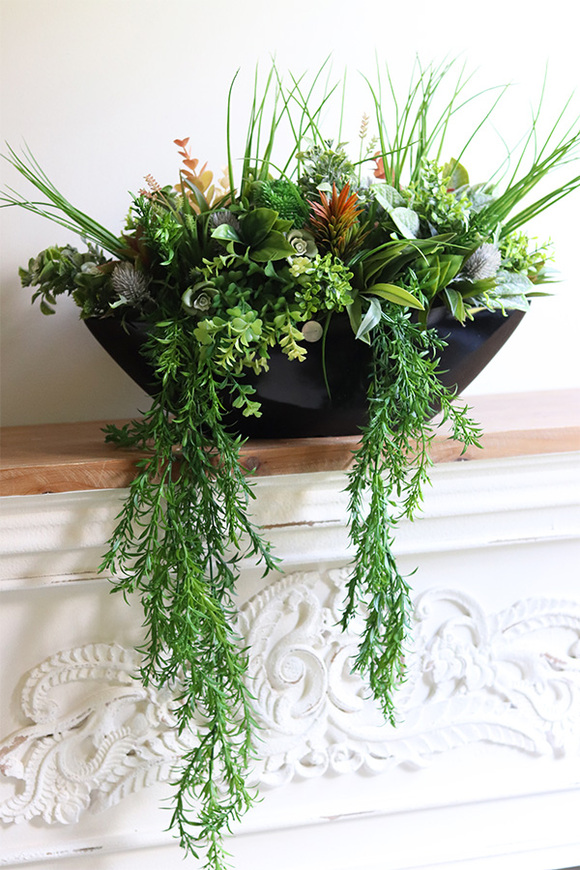 Green Terrance Laos, kompozycja sukulenty w czarnej donicy