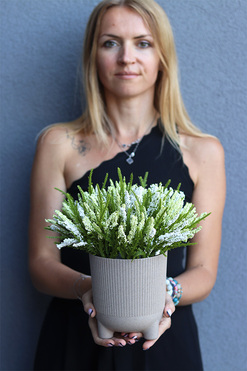 OD RĘKI Wrzosowiska nr 1, jesienna kompozycja z wrzosów, wys.26cm