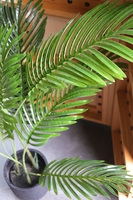 Palma Volcan, sztuczna roślina w doniczce