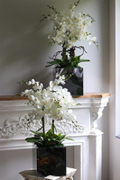 storczyk w stalowej donicy, Mirror Silver Cube