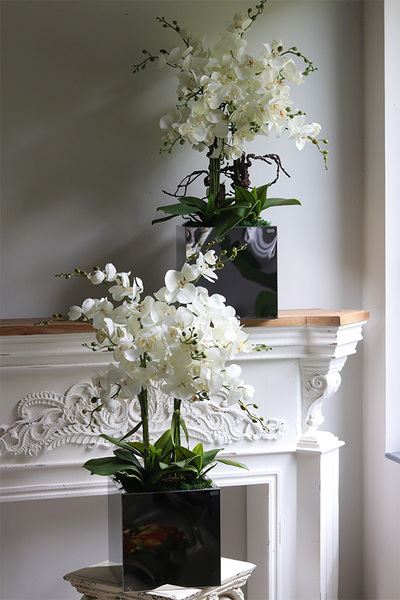 storczyk w stalowej donicy, Mirror Silver Cube