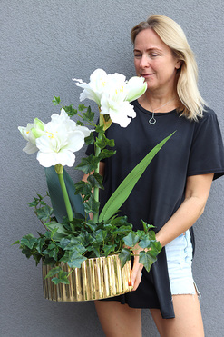 Amarylis Biel, wysokiej jakości sztuczna roślina w złotej donicy, wys.70cm 