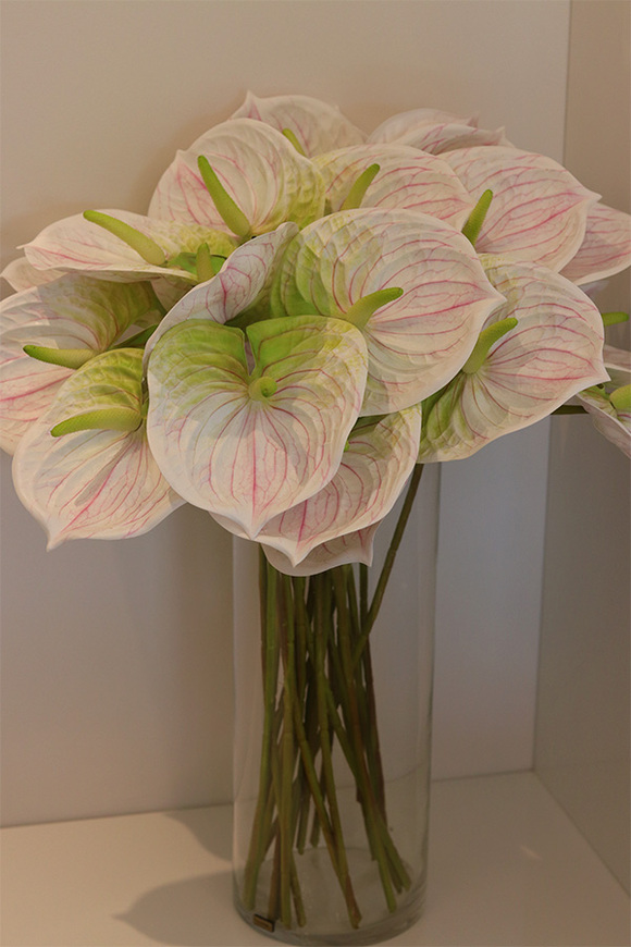 Anturium Secret of Flowers, bukiet kwiatów do wazonu