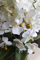 Nedila, sztuczny storczyk w metalowej osłonce