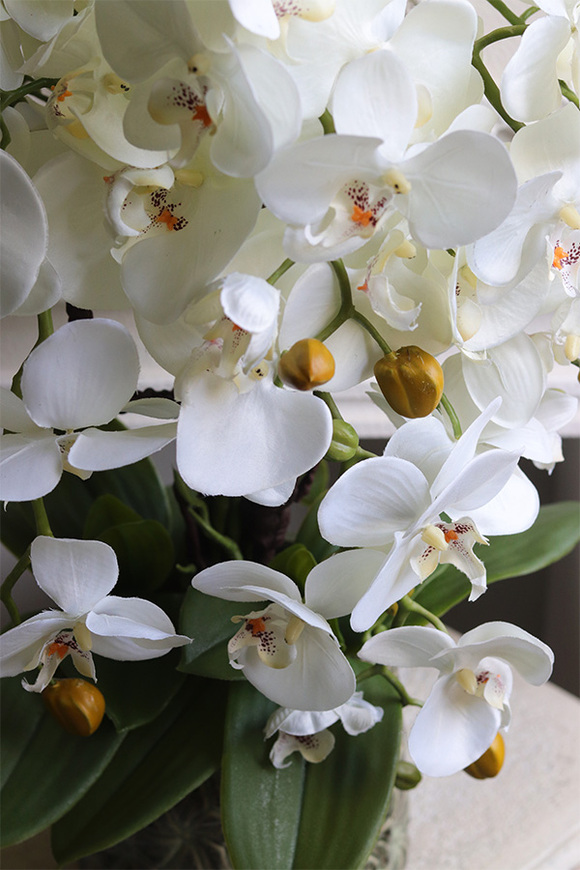 Nedila, sztuczny storczyk w metalowej osłonce