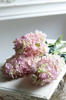 Delicate Pink, bukiet różowych hortensji