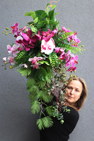 Greta, kwiatowa kompozycja wisząca