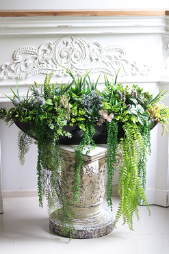 Black Laos Sukulenty, zielona kompozycja w czarnej donicy, wym.38x90cm 