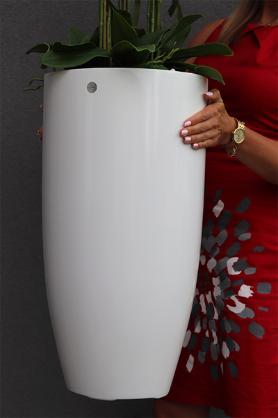 duży storczyk White Fiberglass Grande Clear w białej donicy