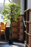 Klon Japoński, sztuczna roślina w doniczce