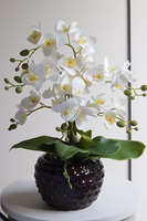 Krettera, sztuczny storczyk w ozdobnej donicy