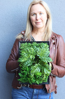 Black Frame Suculentina, czarna jednostronna rama sukulenty