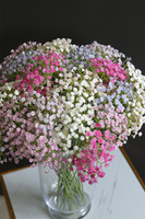 Kaszka Pastella, bukiet kwiatów w wazonie