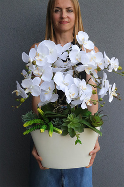 Bielise, sztuczny storczyk w wąskiej donicy, wys.75cm