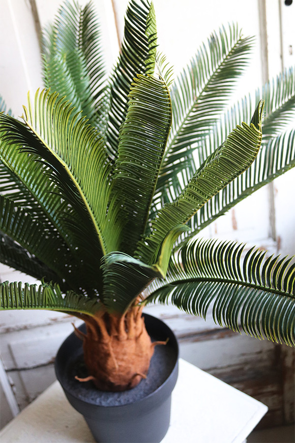 Cykas, sztuczna roślina w osłonce z tworzywa sztucznego, wys.100cm 