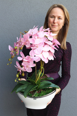 Pudrovy Lonello, różowy storczyk w biało-srebrnej donicy, wys.57cm