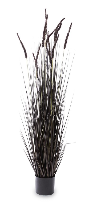 Negra, czarna sztuczna trawa z kłosami, wys.153cm