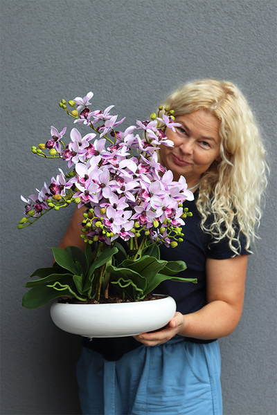 Różowa Chmurka, sztuczny o różowych kwiatostanach, wys.54cm