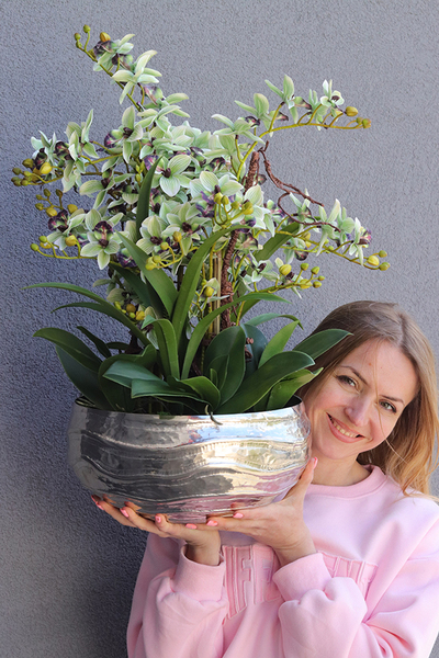 Mint Deluxe, gumowy storczyk w ozdobnej misie