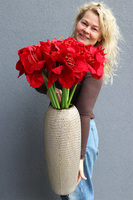 Red Bonfire, złoty wazon z amarylisami