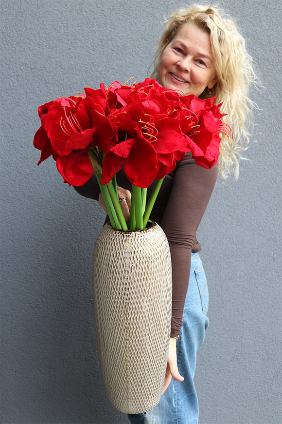 Red Bonfire, złoty wazon z amarylisami