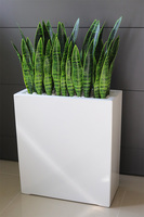 Sansewieria Fiberglass Marco 3, roślina sztuczna w donicy