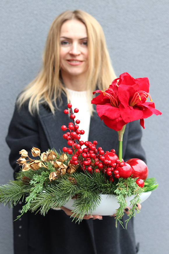 Amarylis Winter Laos, świąteczna kompozycja z czerwonymi kwiatami