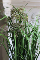 Yura Green, sztuczna trawa kwitnąca