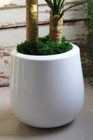 Juka Fiberglass, sztuczna roślina w donicy, wys.166cm