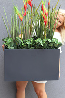 Chińska, dekoracja ze strelicjami w czarnej donicy