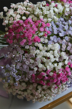 Kaszka Pastella, bukiet kwiatów, 29szt, dł.34cm 