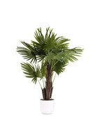 Livistona LED, sztuczna palma w doniczce z podświetleniem