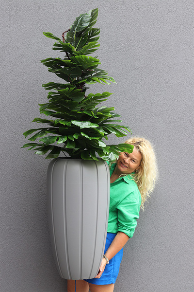 Monstera Grey, drzewko sztuczne w donicy