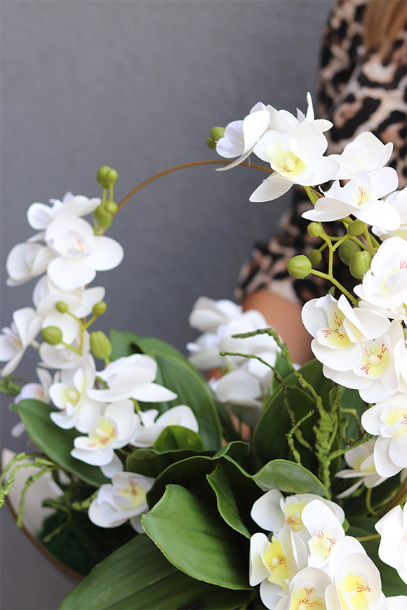 Laos Mekong, gumowy storczyk w pucharze