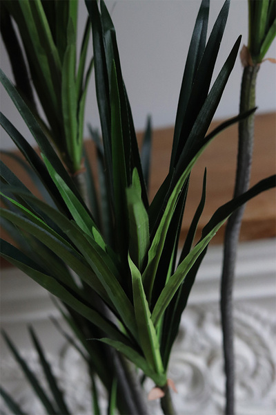 Dracena Goldigo, sztuczna roślina w doniczce