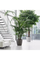 Classico, elegancka donica z nawadnianiem