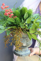 Grefrete, zielona kompozycja w pucharze