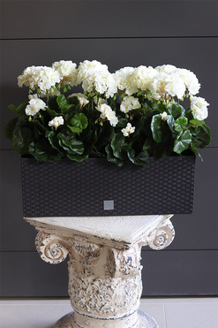 Białe, sztuczne pelargonie na balkon i parapet, wym.41cm