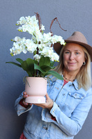  Pink Nemo, wysokiej jakości sztuczny storczyk, wym.53cm