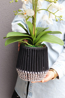 Bond Small, storczyk w sznurkowej doniczce