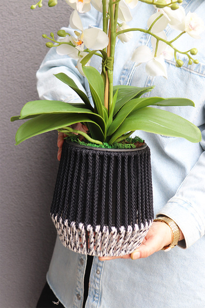 Bond Small, storczyk w sznurkowej doniczce