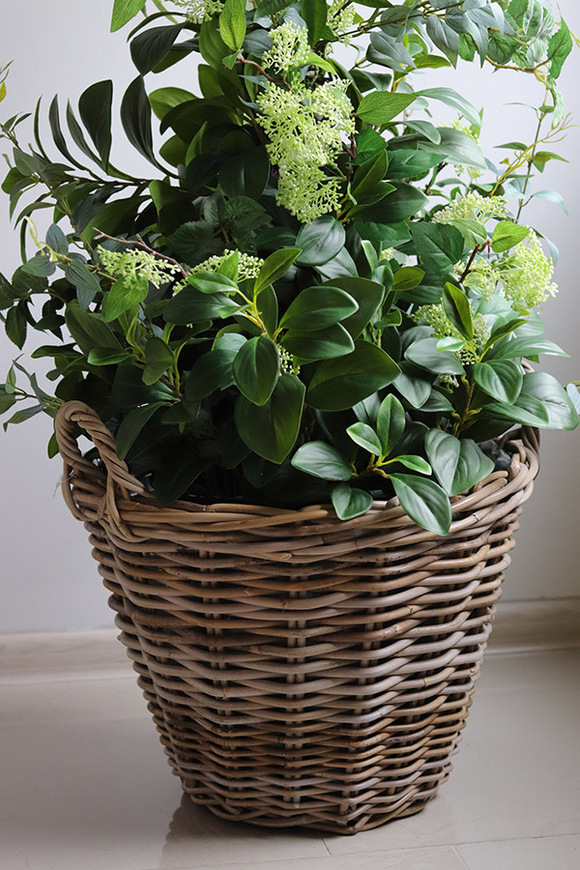 New Green Bahama, drzewko sztuczne kolumnowe w donicy