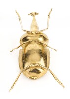 Chrząszcz figurka lustrzana, wym. 6x11x20cm 